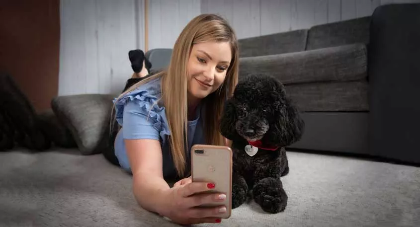 Petfusion