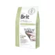 brit-vd-gf-cat-diabetes-2kg