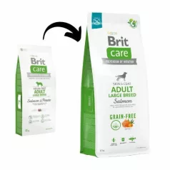   Brit Care Grain-free Adult Large Breed Salmon & Potato 3 kg hrană pentru câini