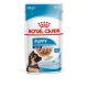 Royal Canin Start of Life Maxi Puppy 10x140 g