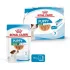 Royal Canin Start of Life Mini Puppy Multipack 4x85 g