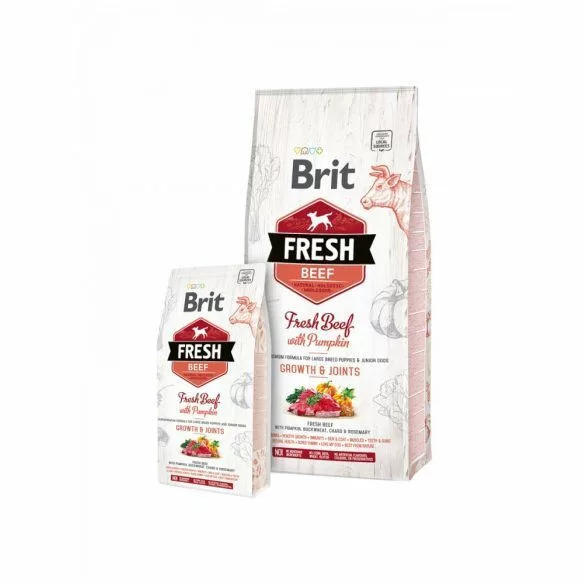 Brit Fresh Beef și Pumpkin Puppy Large Bones & Joints 2x12 kg