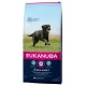 Eukanuba Adult Large 2x 18 kg hrană pentru câini