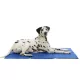 Trixie Răcoritor Saltea 110x70 cm Albastru