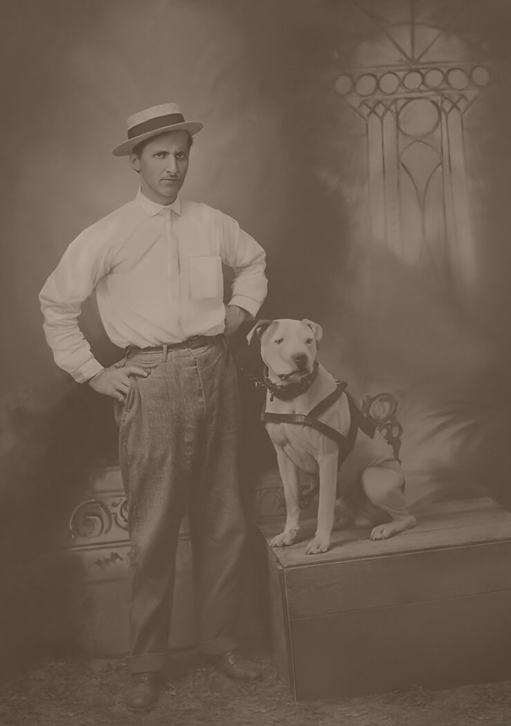 Pitbull terrier – Câinele de familie folosit pentru forță?
