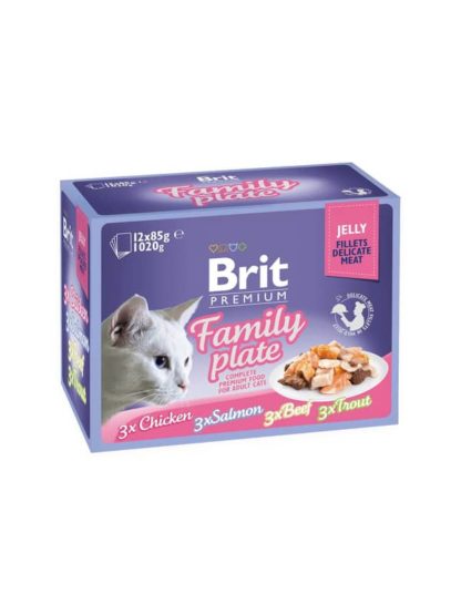 brit-premium-cat-delicate-fillets-in-jelly-dinner-plate