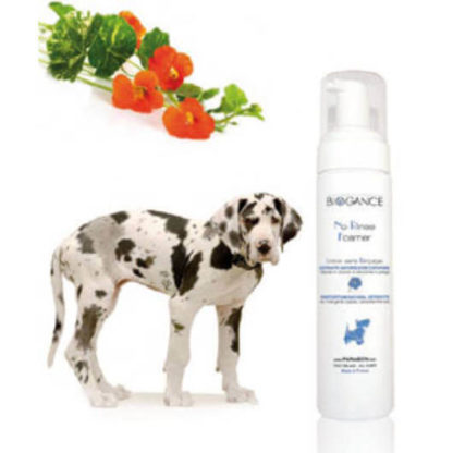 biogance-no-rinse-foamer-dog