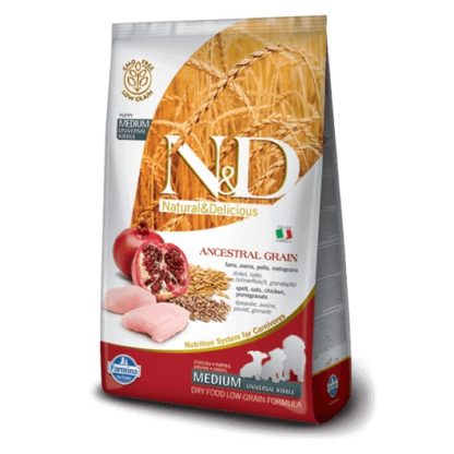 nd-dog-ancestral-grain-csirke-tonkoly-zab-granatalma-puppy-medium-maxi