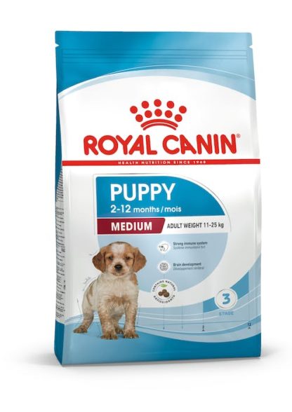 royal-med-puppy