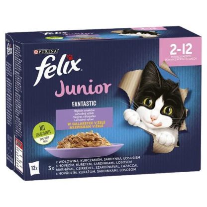 felix-junior-fantastic-vegyes-valogatas