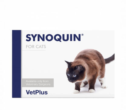 synoquin-cat