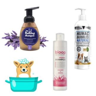 Șampon pentru câini