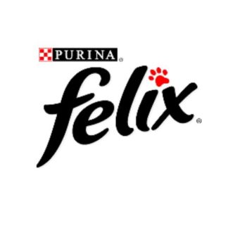 Felix pisici