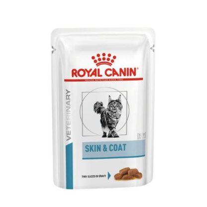 royal-canin-feline-dermatology-skin-coat-cat-wet-pouch-packshot