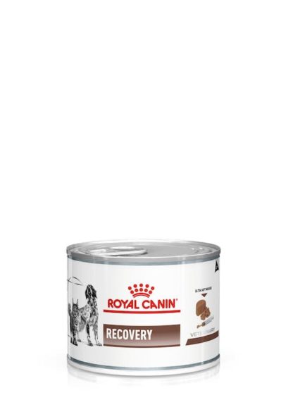 royal-canin-gastrointestinal-recovery-cat-dog-loaf-can-packshot