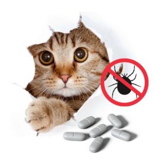 Tabletă împotriva căpușelor de pisică