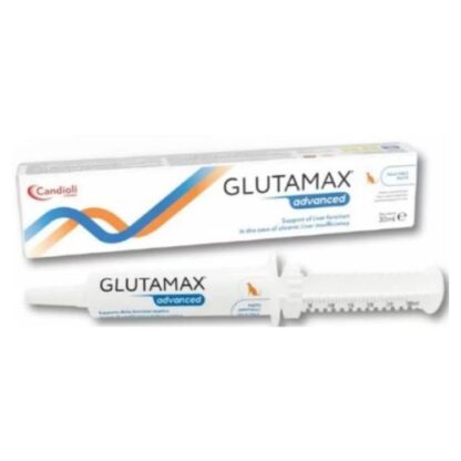 glutamax-paszta-30ml-1