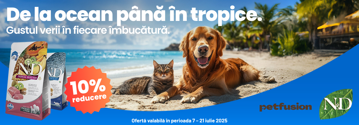 Petguru Hero Kép
