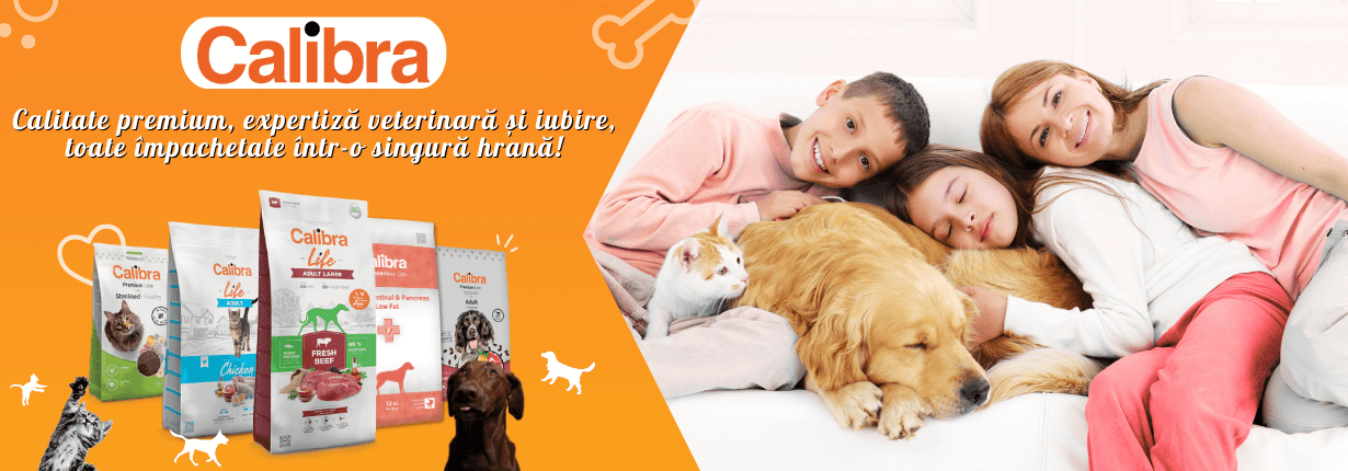 Petguru Hero Kép